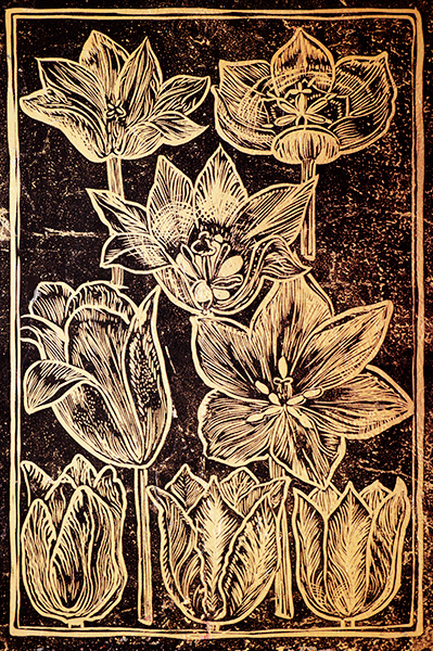 Botanica: Tulips I